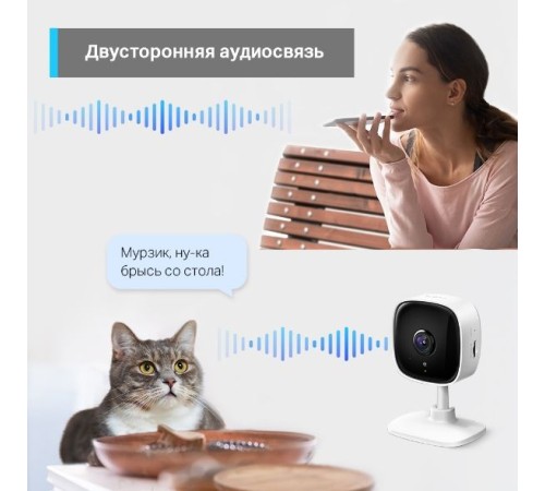 Камера TP-Link Tapo C110