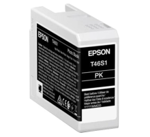 Картридж Epson SinglepackPhotoBlackT46S1UltraChromePro10ink25ml (C13T46S100)