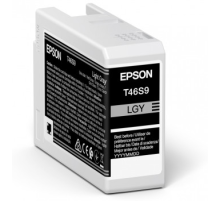 Картридж Epson SinglepackLightGrayT46S9UltraChromePro10ink25ml (C13T46S900)