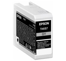 Картридж Epson SinglepackGrayT46S7UltraChromePro10ink25ml (C13T46S700)