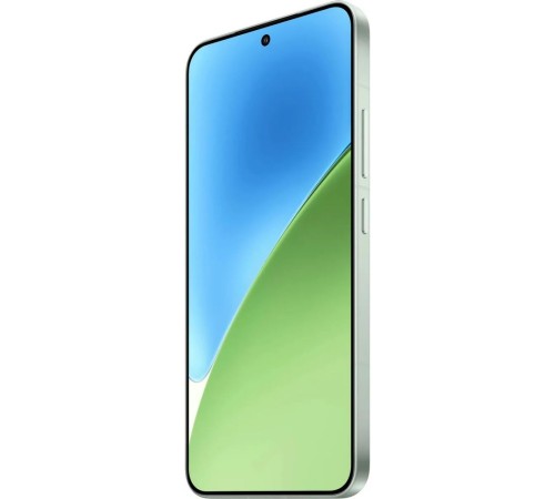 Смартфон Xiaomi 15 12+256Gb зеленый (MZB0IV3RU) Смартфон Xiaomi 15 12+256Gb зеленый (MZB0IV3RU)