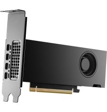 Видеокарта NVIDIA RTX 2000 ADA Graphics Cards, 16GB GDDR6 (ATX inst, LP incl), bulk