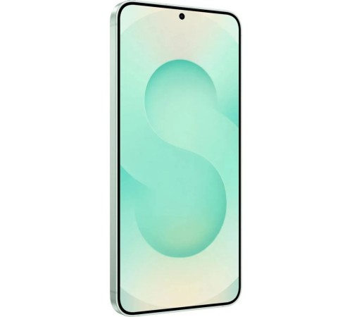 Смартфон Samsung Galaxy S25+ 12+512Gb мятный (SM-S936BLGCCAC)