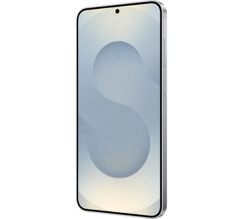 Смартфон Samsung Galaxy S25+ SM-S936B 12+512Gb серый (SM-S936BZSСCAU)