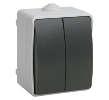 Выключатель IEK Форс откр. 2кл. IP54 серый/черный (упак.:1шт) (EVS20-K03-10-54-DC)