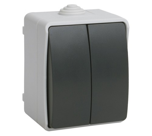 Выключатель IEK Форс откр. 2кл. IP54 серый/черный (упак.:1шт) (EVS20-K03-10-54-DC)