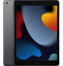 Планшет Apple iPad 2021 A2602 A13 Bionic 6С RAM3Gb ROM256Gb 10.2" IPS 2160x1620 iOS серый космос 8Mpix 12Mpix BT WiFi 10hr
