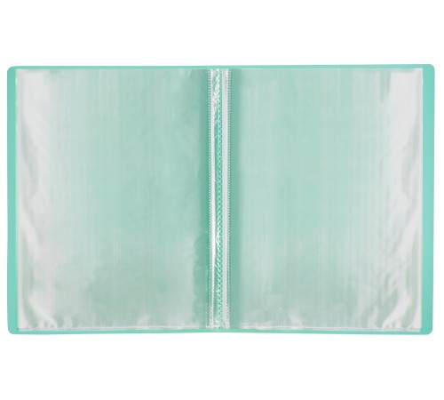 Папка с 20 прозр.вклад. Бюрократ Pastel PAST20GRN A4 пластик 0.5мм торц.карм с бум. встав мятный Папка с 20 прозр.вклад. Бюрократ Pastel PAST20GRN A4 пластик 0.5мм торц.карм с бум. встав мятный