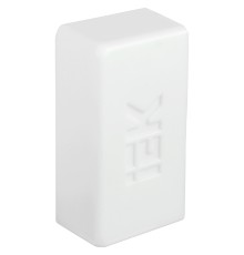 Заглушка для кабель-каналов IEK CKMP10D-Z-100-060-K01 торцевая 60x100мм белый (упак.:2шт)