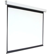 Экран 159x159см Digis Electra-F DSEF-1103 1:1 настенно-потолочный рулонный (моторизованный привод)