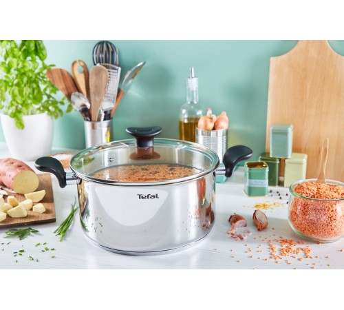 Кастрюля Tefal Primary E3084674 5.2л. d=24см (с крышкой) стальной (2100120958)