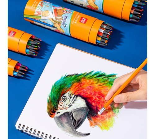 Карандаши цв. Deli 7073-12 пластик 12цв. туба пл. ластик