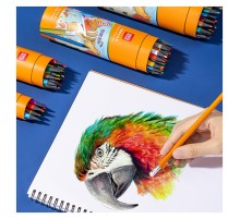 Карандаш цв. Deli 7073-48 пластик ластик