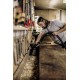 Строительный пылесос Karcher WD 3 P V-17/4/20 1000Вт (уборка: сухая/сбор воды) желтый
