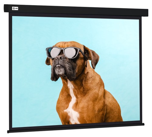 Экран Cactus 183x244см Wallscreen CS-PSW-183X244-BK 4:3 настенно-потолочный рулонный черный Экран Cactus 183x244см Wallscreen CS-PSW-183X244-BK 4:3 настенно-потолочный рулонный черный
