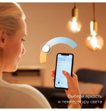 Умная лампа Gauss IoT Smart Home E14 4.5Вт 495lm Wi-Fi (упак.:1шт) (1280112)