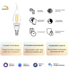 Умная лампа Gauss IoT Smart Home E14 4.5Вт 495lm Wi-Fi (упак.:1шт) (1260112)