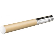 Термопленка Cactus CS-FILM-R-MPC3000 для Aficio MPC3300/MPC3000/MPC2800/MPC2500
