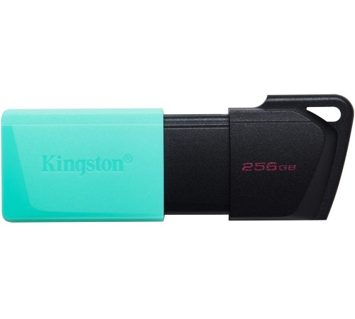 Флеш Диск Kingston 256Gb DataTraveler DTXM DTXM/256GB USB3.2 черный/красный