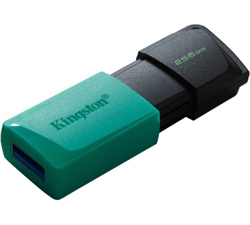 Флеш Диск Kingston 256Gb DataTraveler DTXM DTXM/256GB USB3.2 черный/красный