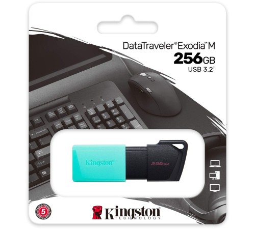 Флеш Диск Kingston 256Gb DataTraveler DTXM DTXM/256GB USB3.2 черный/красный