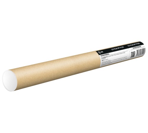 Термопленка Cactus CS-FILM-HP-P1505 (RM1-4209) для HP LJ P1505n, P1505, M1522nf, M1522n, M1120n, M1120 MFP Термопленка Cactus CS-FILM-HP-P1505 (RM1-4209) для HP LJ P1505n, P1505, M1522nf, M1522n, M1120n, M1120 MFP