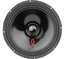 Колонки автомобильные Ural Молния АС-МЛ250 (без решетки) 300Вт 95дБ 4Ом 25см (10дюйм) (ком.:2кол.) широкополосные однополосные