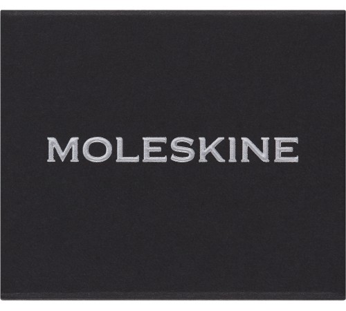 Шильд-символ Moleskine Zodiac Лев металл серебристый коробка с европод. PINLEOSILV Шильд-символ Moleskine Zodiac Лев металл серебристый коробка с европод. PINLEOSILV
