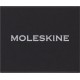 Шильд-символ Moleskine Zodiac Лев металл серебристый коробка с европод. PINLEOSILV