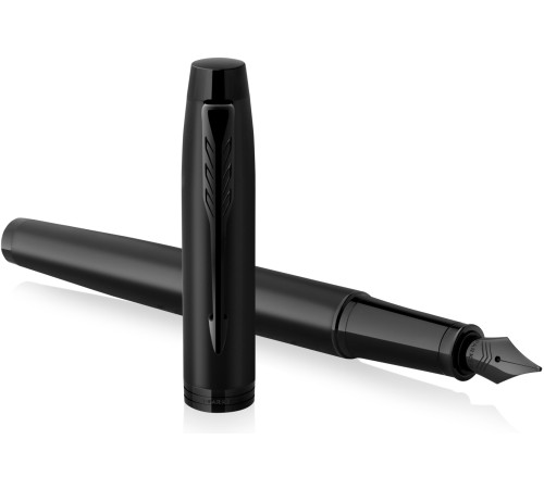 Ручка перьев. Parker IM Achromatic F317 (CW2127741) Matt Black F сталь нержавеющая подар.кор.