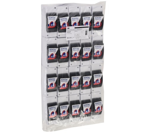 Щит распределительный IEK MKP42-N-02-30-20 КМПн 2/2 для установки модульных устройств 59мм 83мм 146мм 230B 2мод. пластик IP30 белый (упак.:1шт)