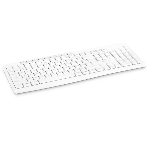 Клавиатура Оклик K225W белый USB беспроводная Multimedia (1875235) Клавиатура Оклик K225W белый USB беспроводная Multimedia (1875235)