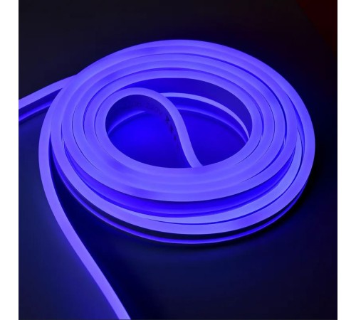 Neon IEK Неон (LSR5-B-120-65-2-05-S0)
