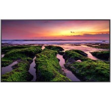 Панель Samsung 75" QB75B черный VA LED 8ms 16:9 HDMI M/M матовая 350cd 178гр/178гр 3840x1920 4K USB 38.3кг