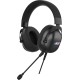 Наушники с микрофоном Acer AHW122 черный 2.1м мониторные USB оголовье (ZL.HDSCC.01U)