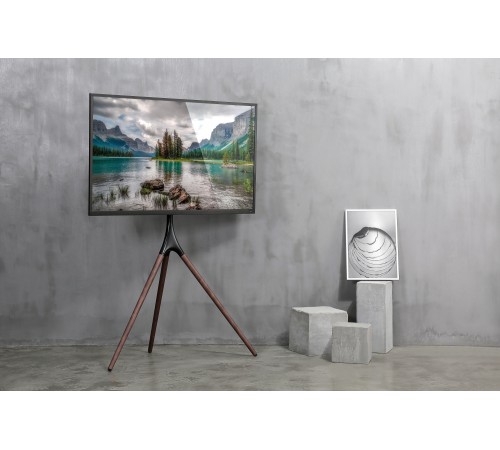 Подставка для телевизора Cactus CS-ST1246BKWN, 45-65", напольный, черный / орех Подставка для телевизора Cactus CS-ST1246BKWN, 45-65", напольный, черный / орех