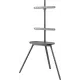 Подставка для телевизора Cactus CS-ST2844GY темно-серый 43"-65" макс.40кг напольный