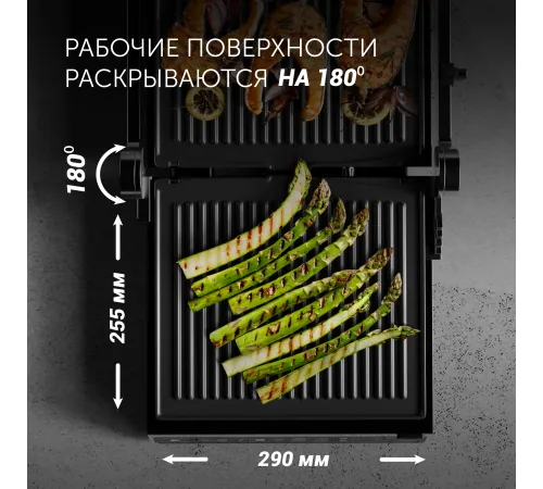 Электрогриль Polaris PGP 3003 2000Вт серебристый/черный Электрогриль Polaris PGP 3003 2000Вт серебристый/черный
