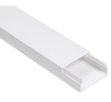 Кабельный канал IEK CKK11-100-060-1-K01 ECOLINE 60x100мм белый 2м (упак.:1шт)