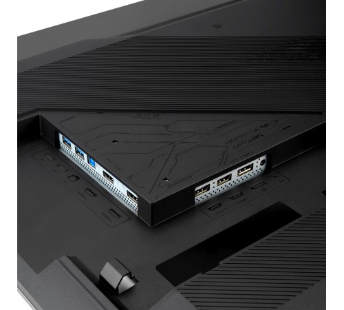 Монитор Asus 47.53" ROG Swift PG48UQ черный OLED LED 16:9 HDMI M/M матовая HAS 450cd 178гр/178гр 3840x2160 138Hz G-Sync DP 4K USB 16.2кг