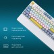 Клавиатура Оклик K951X механическая белый USB Multimedia Touch LED (1901079)