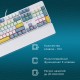 Клавиатура Оклик K951X механическая белый USB Multimedia Touch LED (1901079)