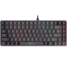 Клавиатура Оклик K615X механическая черный/серебристый USB Multimedia for gamer LED (1934413)