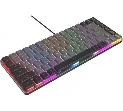 Клавиатура Оклик K615X механическая черный/серебристый USB Multimedia for gamer LED (1934413) Клавиатура Оклик K615X механическая черный/серебристый USB Multimedia for gamer LED (1934413)