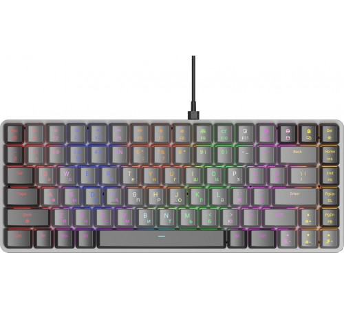 Клавиатура Оклик K615X механическая черный/серебристый USB Multimedia for gamer LED (1934413) Клавиатура Оклик K615X механическая черный/серебристый USB Multimedia for gamer LED (1934413)