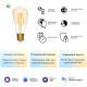 Умная лампа Gauss Smart Home ST64 E27 (упак.:1шт) (1310112)