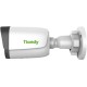 Камера видеонаблюдения IP Tiandy TC-C34WS I5W/E/Y/2.8/V4.2 2.8-2.8мм цв.