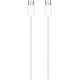 Кабель Apple MM093ZM/A USB Type-C (m)-USB Type-C (m) 1м белый