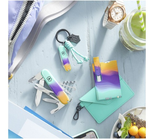 Нож перочинный Victorinox Companion Sydney Style (1.3909.E222) 91мм 16функц. подар.коробка Нож перочинный Victorinox Companion Sydney Style (1.3909.E222) 91мм 16функц. подар.коробка