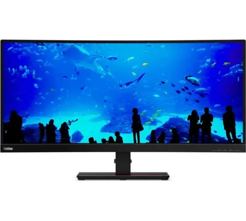 Монитор Lenovo 34" ThinkVision P34w-20 черный IPS LED 4ms 21:9 HDMI M/M матовая HAS Piv 1000:1 300cd 178гр/178гр 3440x1440 60Hz DP Ultra WQHD USB 10.8кг